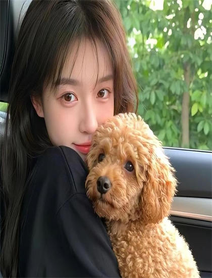 从文化视角看喜剧片《圣殿骑士的宝藏》：历史的事件再现与当代启示 认识艺术的文化教育功能